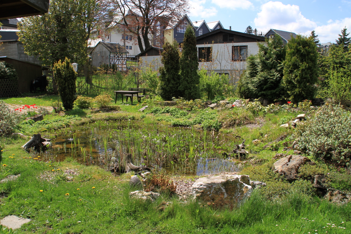 Hotel Restaurant Oberland Neuhaus am Rennweg - Foto: 